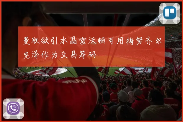 曼联欲引水晶宫沃顿可用梅努齐尔克泽作为交易筹码