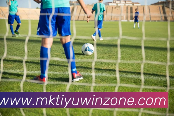 MK体育APP 封面图