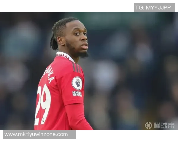 万比萨卡如战神般表现出色曼联仅花1760万引进铁锤新星 万比萨卡如战神般表现出色曼联仅花1760万引进铁锤新星